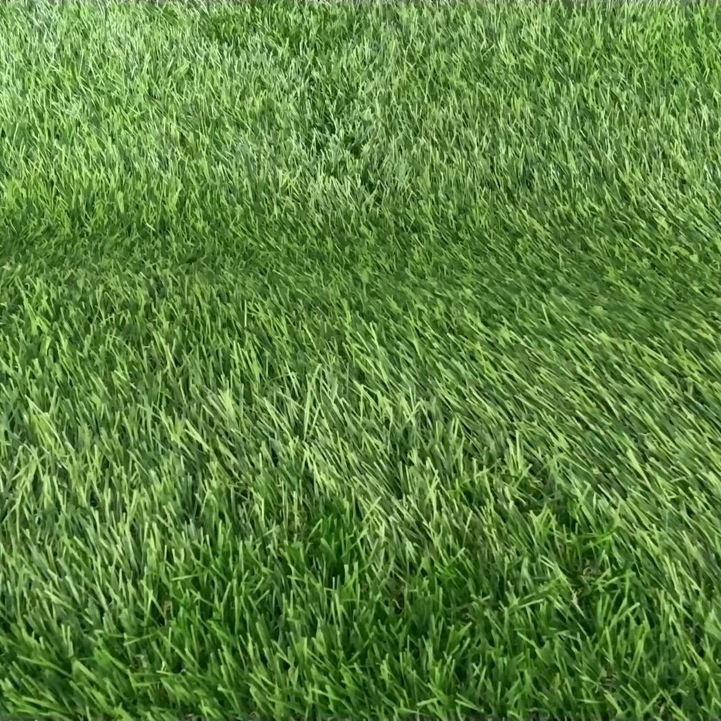 38mm grass lawn