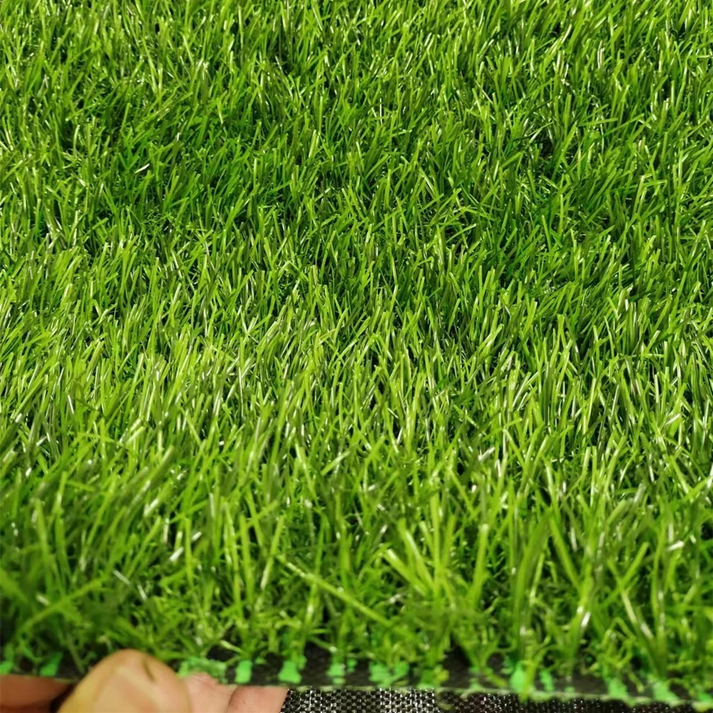 soft green grass soft green grass