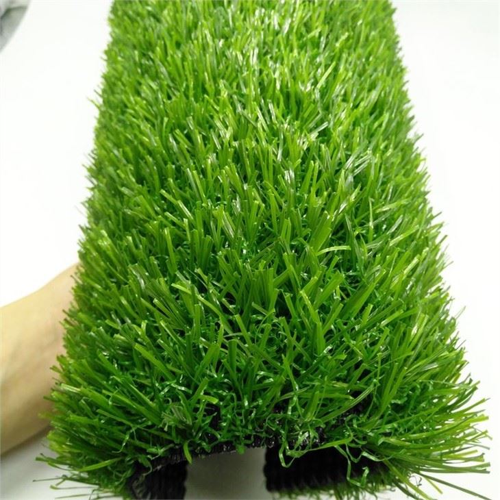 Garden Grass 