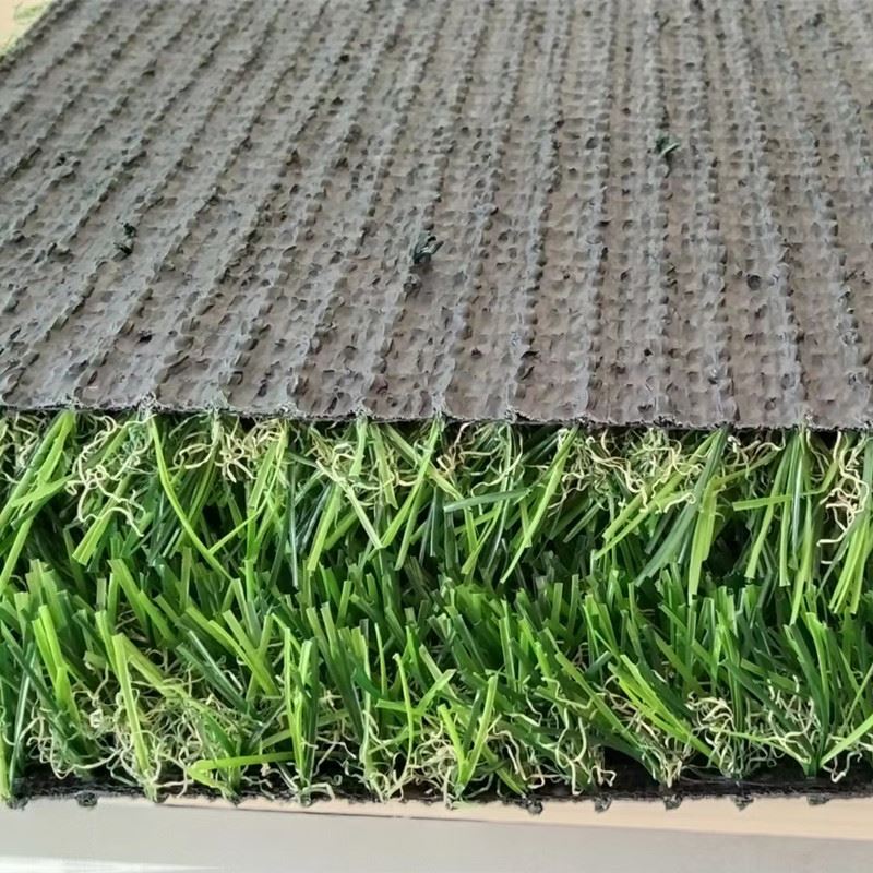 風景草の新しいサンプル